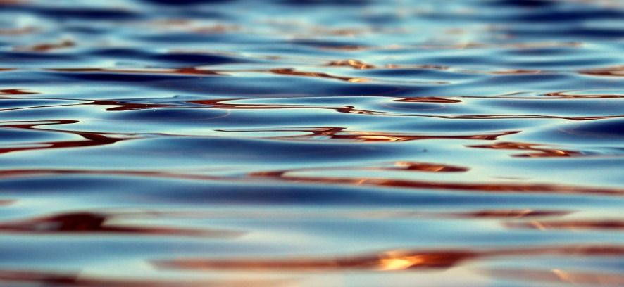 Revocato il divieto di balneazione nel fiume Maggia e nel Lago Maggiore